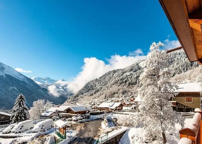 Le Grand Bouquetin - 3 Pieces Pour 6 Personnes Mae-0014 * La Plagne